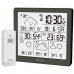 Метеостанція Technoline DirektWetter WD2200 Graphite(WD2200)