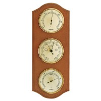 Метеостанція Moller 203379 Alder (203379)  (Безкоштовна доставка)