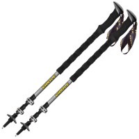 Палиці трекінгові Vipole Creek DLX (S25 05)