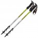 Палиці трекінгові Vipole Trekker Green (S25 10)
