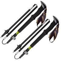 Палиці трекінгові Vipole Approach Long DLX (S25 44)