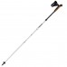 Палиці для скандинавської ходьби Gabel Nordic Revo Alu Carbon (7009351340000)