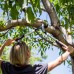Обвідний сучкоріз Fiskars PowerGearX™ (M) (1020187)