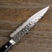 Ніж кухонний Paring 135 мм лезо, VG10 Damascus-17 61HRC, HONMAMON (4573200716577)