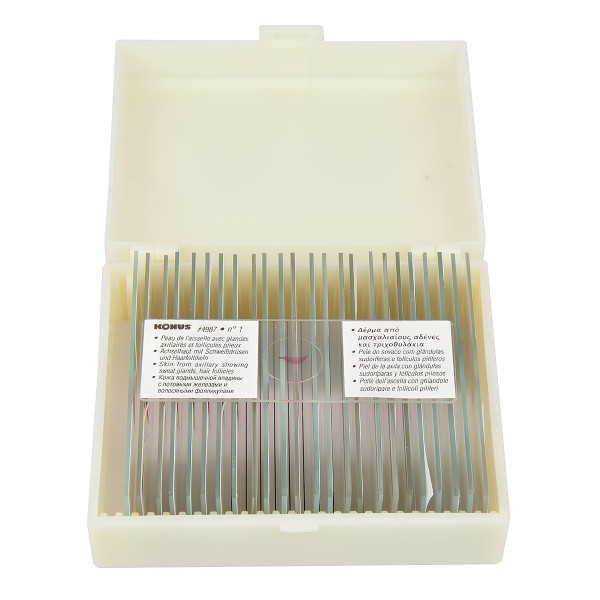 Набір мікропрепаратів KONUS Людське тіло: Структура органів (25 шт.)  (Безкоштовна доставка)