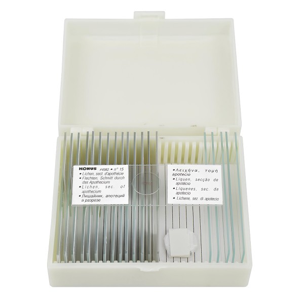 Набір мікропрепаратів KONUS Ботаніка: Гриби, лишайники і мох (15 шт.)