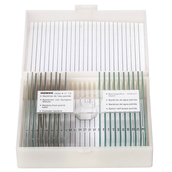 Набір мікропрепаратів KONUS Біологія: Дивовижне життя у краплі води (10 шт.)