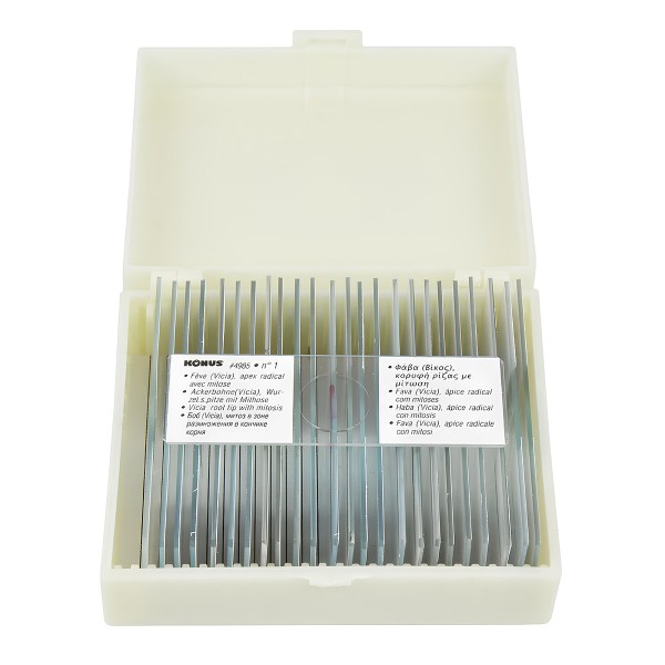 Набір мікропрепаратів KONUS Ботаніка: Дводольні покритонасінні рослини (25 шт.)  (Безкоштовна доставка)