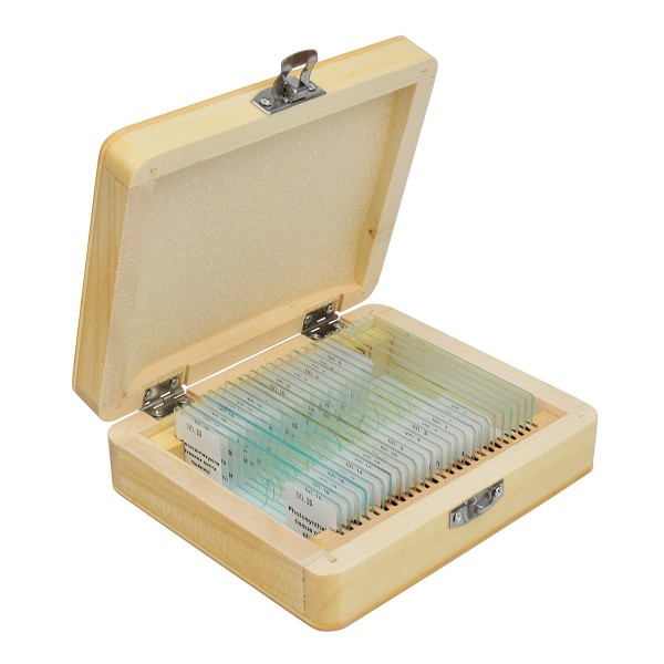 Набір мікропрепаратів SIGETA ADVANCE Ботаніка (20 шт.)  (Безкоштовна доставка)