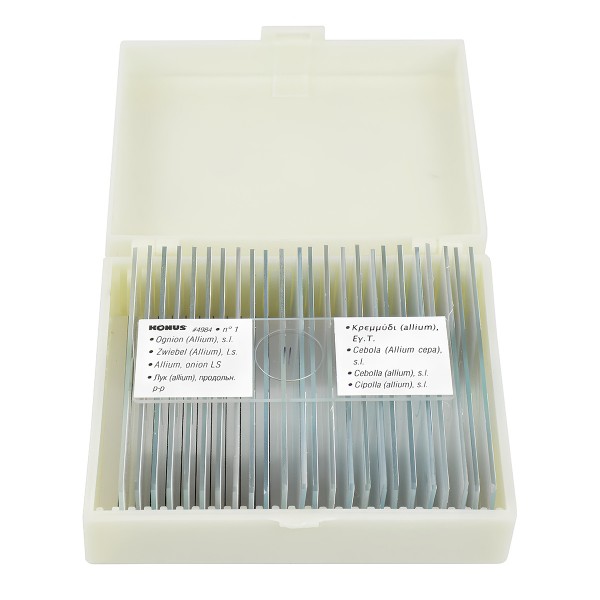 Набір мікропрепаратів KONUS Ботаніка: Покритонасінні, однодольні (25 шт.)  (Безкоштовна доставка)