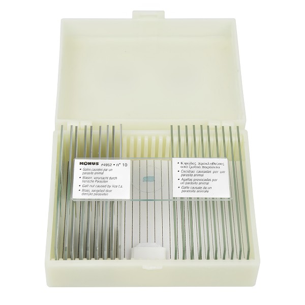 Набір мікропрепаратів KONUS Тварини і рослини з пошкодженнями (10 шт.)