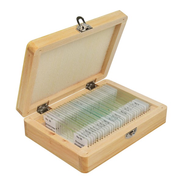 Набір мікропрепаратів SIGETA ADVANCE Загальна біологія (30 шт.)  (Безкоштовна доставка)