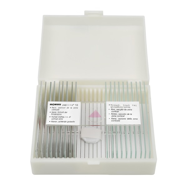 Набір мікропрепаратів KONUS Здорові тканини людського тіла, частина II (10 шт.)