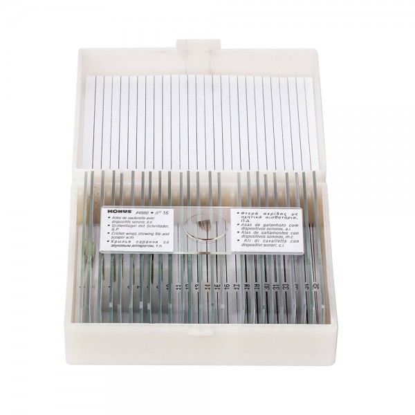 Набір мікропрепаратів KONUS Загальна Біологія: Зоологія, хребетні, включно зі ссавцями (25 шт.)  (Безкоштовна доставка)