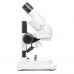 Мікроскоп SIGETA MS-249 20x LED Bino Stereo