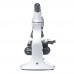 Мікроскоп SIGETA ENTERPRIZE 40x-1280x LED Mono