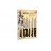 Набір із 6 кухонних стейкових ножів Samura Harakiri (SHR-0260B)