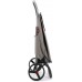 Сумка-візок Rolser Eco Pep 2 LRSG (PEP025-1041)