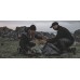 Намет двомісний Easy Camp Setesdal 2 (120476)