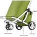 Сумка-візок ShoppingCruiser 3 Wheels Green (650071)