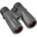 Бінокль Alpen Optics Black Tusk 8x42 ED (11590)